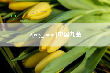 盐城中国九金
