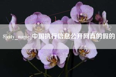 盐城中国执行信息公开网真的假的