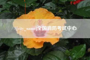 盐城全国消防考试中心