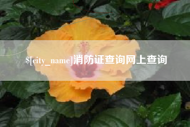 盐城消防证查询网上查询