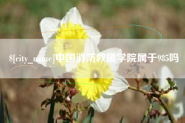 盐城中国消防救援学院属于985吗
