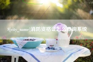 盐城消防资格证怎么查询系统