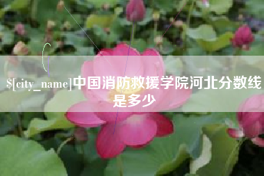 盐城中国消防救援学院河北分数线是多少