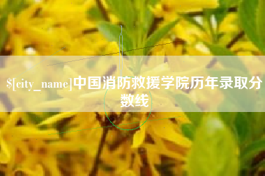 盐城中国消防救援学院历年录取分数线