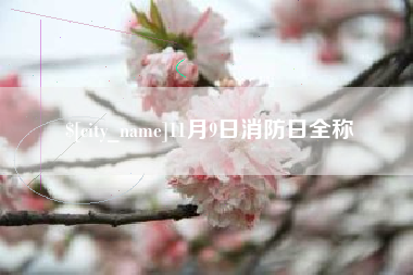 盐城11月9日消防日全称