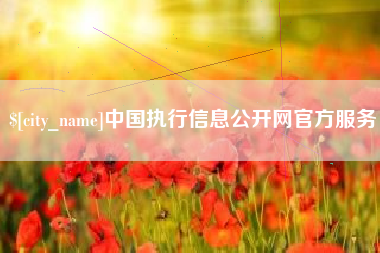 盐城中国执行信息公开网官方服务