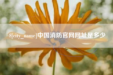 盐城中国消防官网网址是多少
