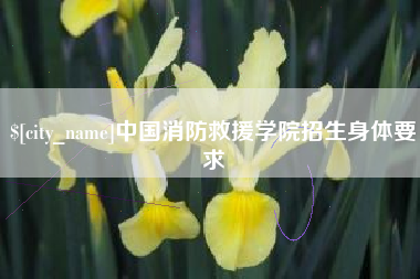 盐城中国消防救援学院招生身体要求