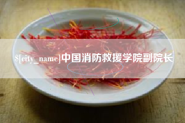盐城中国消防救援学院副院长