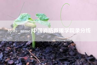 盐城中国消防救援学院录分线
