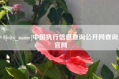 盐城中国执行信息查询公开网查询官网