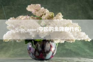 盐城中国的金牌有几名