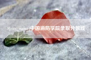 盐城中国消防学院录取分数线