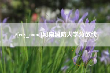 盐城河南消防大学分数线