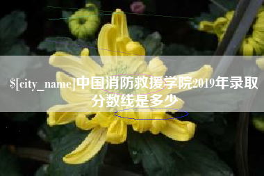 盐城中国消防救援学院2019年录取分数线是多少