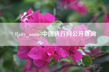 盐城中国执行网公开查询