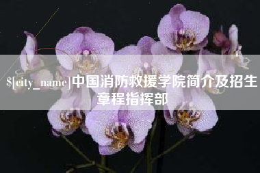 盐城中国消防救援学院简介及招生章程指挥部