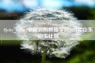 盐城中国消防救援学院2021年山东招生计划