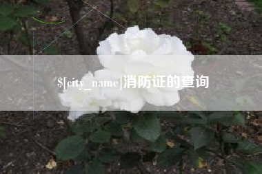 盐城消防证的查询