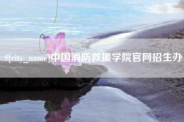 盐城中国消防救援学院官网招生办