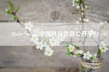 盐城中国执行信息公开平台