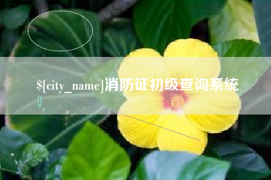 盐城消防证初级查询系统