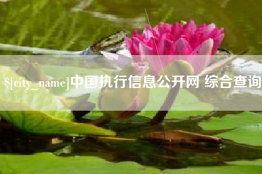 盐城中国执行信息公开网 综合查询