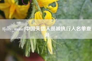 盐城中国失信人员被执行人名单查询