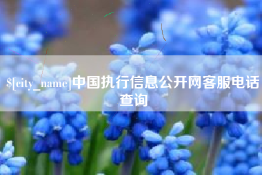 盐城中国执行信息公开网客服电话查询