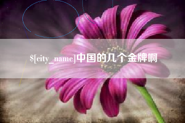 盐城中国的几个金牌啊