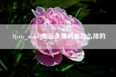 盐城奥运金牌榜是怎么排的