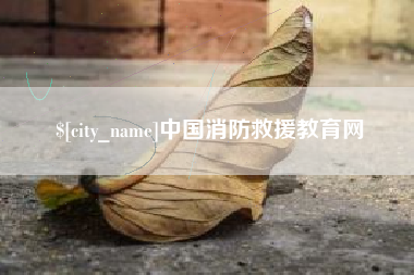 盐城中国消防救援教育网