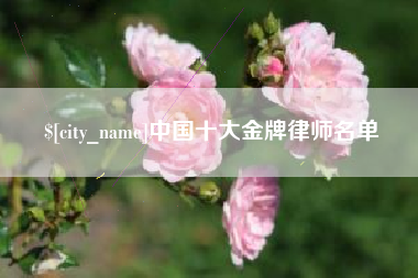 盐城中国十大金牌律师名单