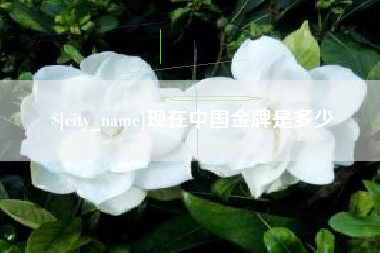 盐城现在中国金牌是多少