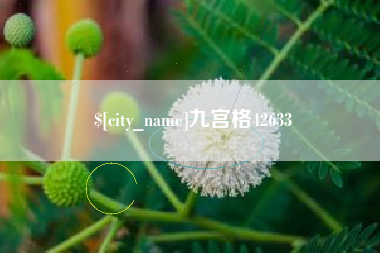 盐城九宫格42633