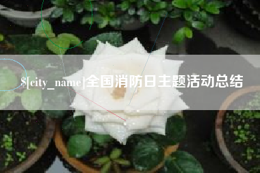 盐城全国消防日主题活动总结