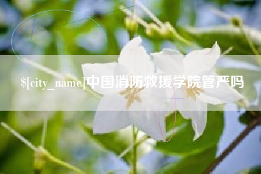 盐城中国消防救援学院管严吗