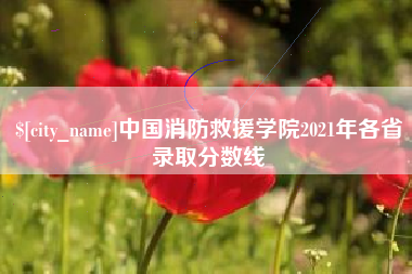 盐城中国消防救援学院2021年各省录取分数线