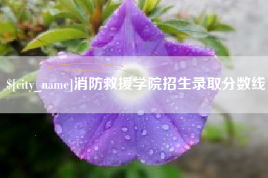 盐城消防救援学院招生录取分数线