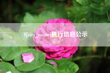 盐城执行信息公示