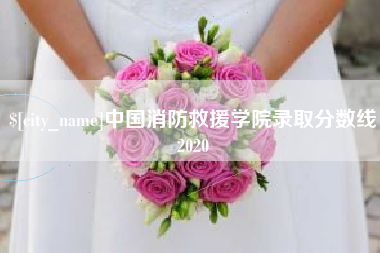 盐城中国消防救援学院录取分数线2020