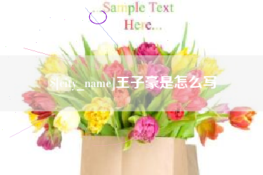 盐城王子豪是怎么写