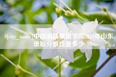 盐城中国消防救援学院2021年山东录取分数线是多少