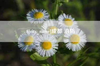 盐城成都 消防