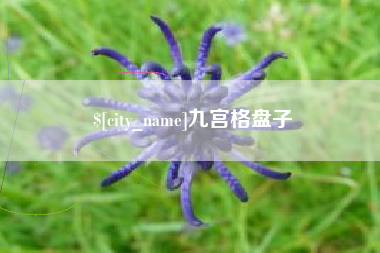 盐城九宫格盘子