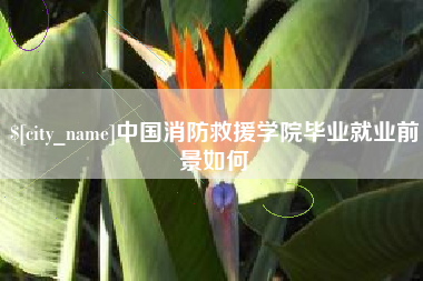 盐城中国消防救援学院毕业就业前景如何