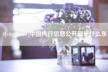 盐城中国执行信息公开网是什么东西