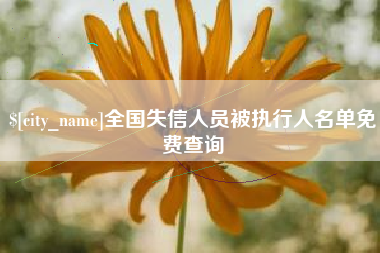 盐城全国失信人员被执行人名单免费查询