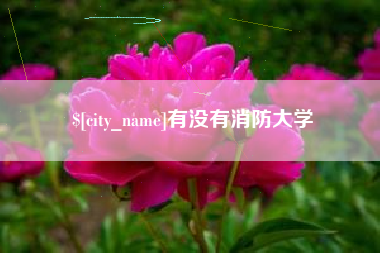 盐城有没有消防大学