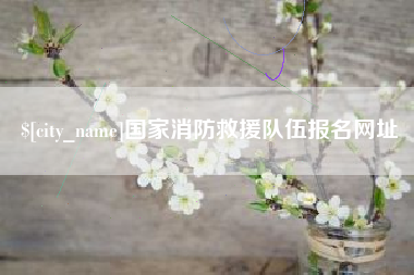 盐城国家消防救援队伍报名网址